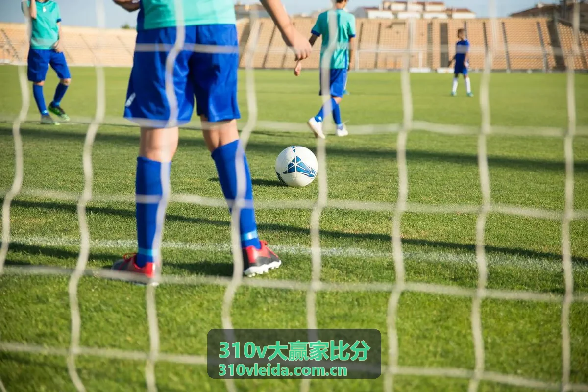310v大赢家比分全球足球比分覆盖